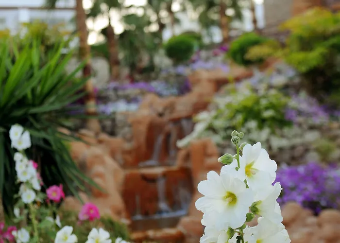 Resort Renaissance Sheikh Golden View Sharm el-Sheikh